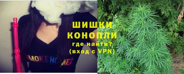 гашик Алексеевка