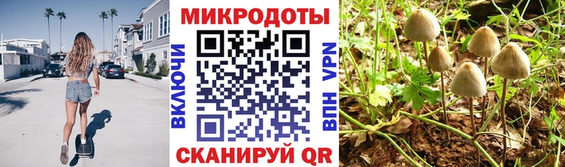 Галлюциногенные грибы GOLDEN TEACHER  купить наркоту  Вихоревка 